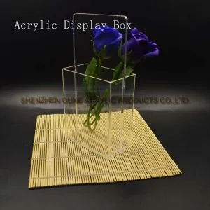 Ny Design Lucite Display Clear akryl Display Case för broschyr